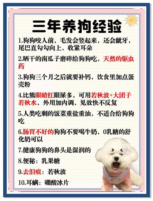 利弊权衡寿命与幸福（狗不绝育的好处和坏处）
