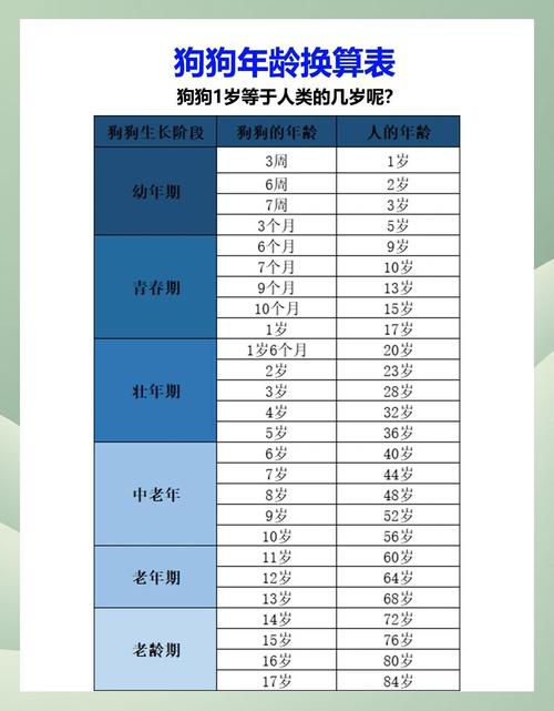 大型犬绝育最佳时机与注意事项（狗狗做绝育的最佳年龄）