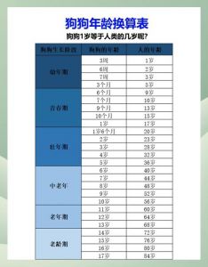 大型犬绝育最佳时机与注意事项（狗狗做绝育的最佳年龄）