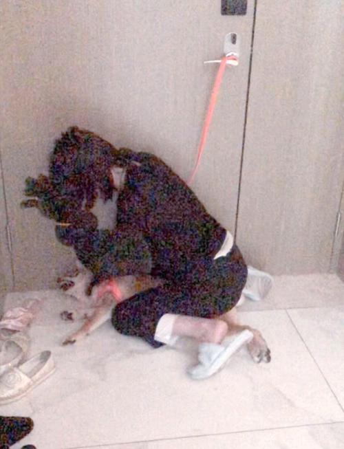 被狗咬了怎么办？自救妙招来了！（母狗锁住人最简单处理方法）