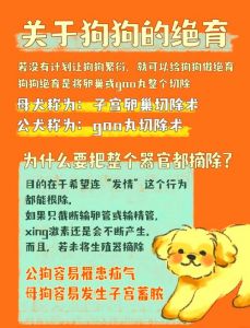 绝育母狗好处多，性格温顺少烦恼（绝育对母狗有哪些好处）