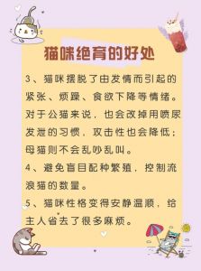 利弊权衡，健康长寿（猫咪做绝育的好处和坏处）