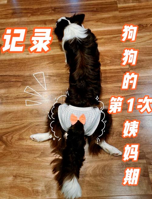 狗狗闻到主人心经的变化会怎样？（狗狗闻到主人来月经会有什么反应）
