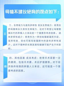 利弊权衡需考虑（母猫为什么不建议绝育）