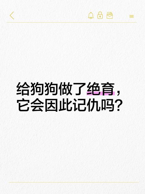 绝育狗狗不记恨，主人多关爱陪伴（养的狗狗绝育会记恨主人吗）
