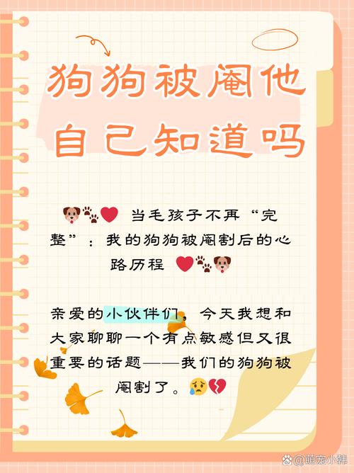 公狗绝育后性格变温顺，但需时间适应（狗割了蛋蛋会变乖吗）