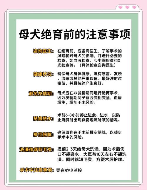 公狗绝育前夜准备及术后护理要点（公狗绝育前一天要干什么）