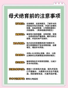 公狗绝育前夜准备及术后护理要点（公狗绝育前一天要干什么）