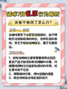 猫咪乱尿？查健康勤打扫，耐心引导很重要！（猫咪乱拉乱尿的解决方法）