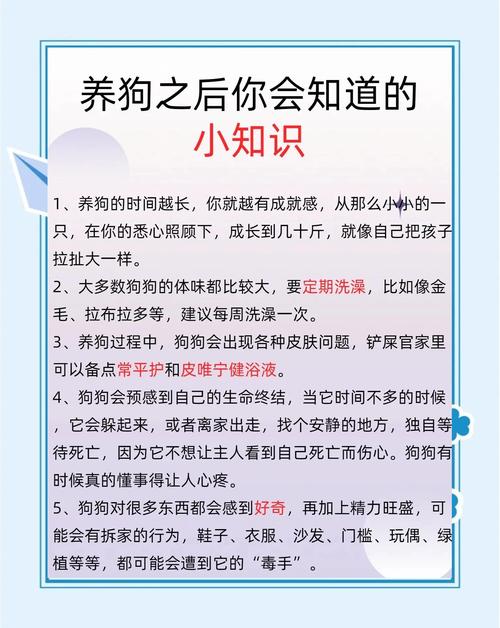 甜蜜负担，幸福相伴（养宠物狗的好处和坏处）