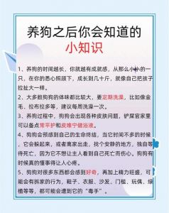甜蜜负担，幸福相伴（养宠物狗的好处和坏处）