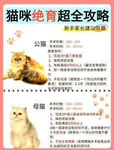 猫咪节育好还是不绝育？优缺点帮你选！（猫咪节育和不绝育的区别好坏处）