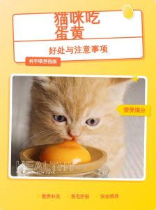 蛋黄营养好，喂猫需适量（猫咪吃蛋黄有什么好处和坏处）