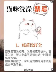 臭氧对猫安全吗？需谨慎使用（臭氧对猫咪的好处与坏处）