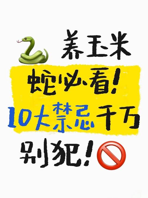 警惕!玉米蛇易养但风险多,寿命长需谨慎(玉米蛇为什么不建议养) 警惕!玉米蛇易养但风险多,寿命长需谨慎(玉米蛇为什么不建议养)