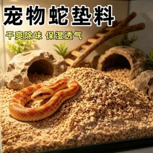 玉米蛇饲养小窍门（玉米蛇怎么养才会认主人）