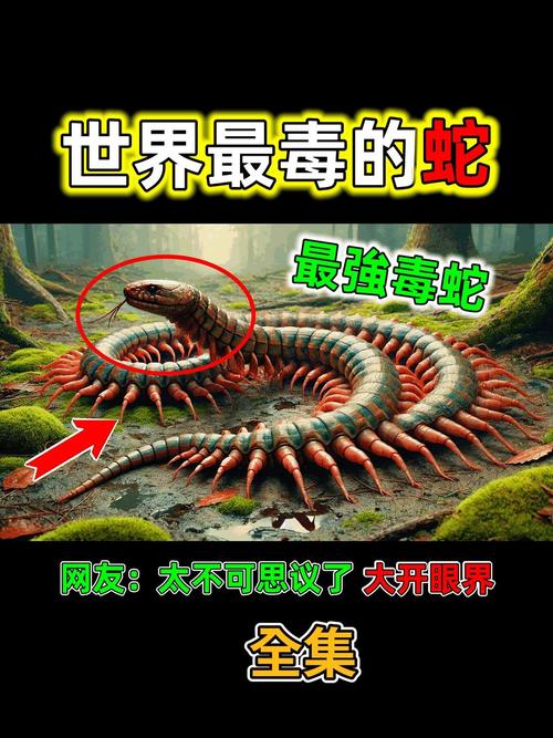 毒蛇虽温和,致命不可挡!(全世界毒蛇排行榜) 毒蛇虽温和,致命不可挡!(全世界毒蛇排行榜)