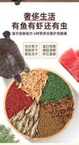 高蛋白幼龟粮配虫虾，助消化！（幼年小乌龟吃什么）