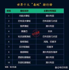 世界十大毒蛇排名及危险程度（世界毒蛇排行榜前十名）