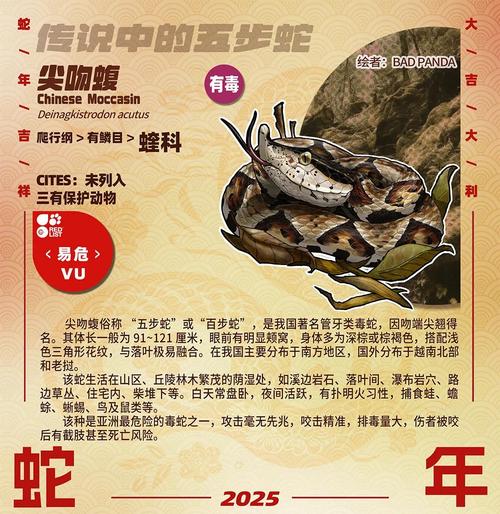 危险多样,生态重要(中国27种毒蛇排名照片) 危险多样,生态重要(中国27种毒蛇排名照片)