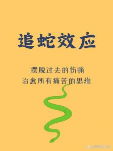 冷静观察，享受独处，蛇般智慧生活者（喜欢蛇的人是什么心理）
