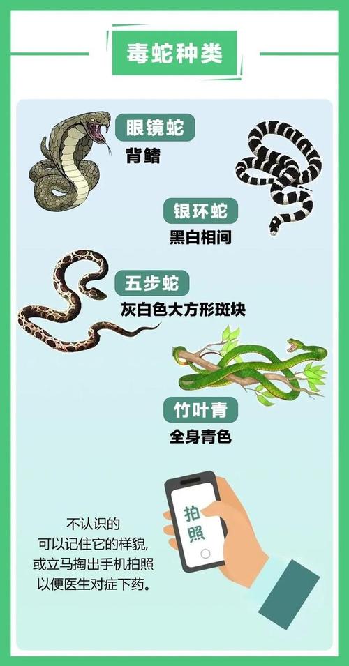 智慧灵气 生态保护(蛇的品种大全108种图片) 智慧灵气 生态保护(蛇的品种大全108种图片)