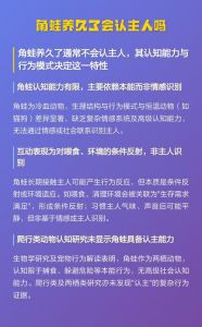 角蛙能认主人？熟悉感与本能反应解析（角蛙养久了会认主人吗）