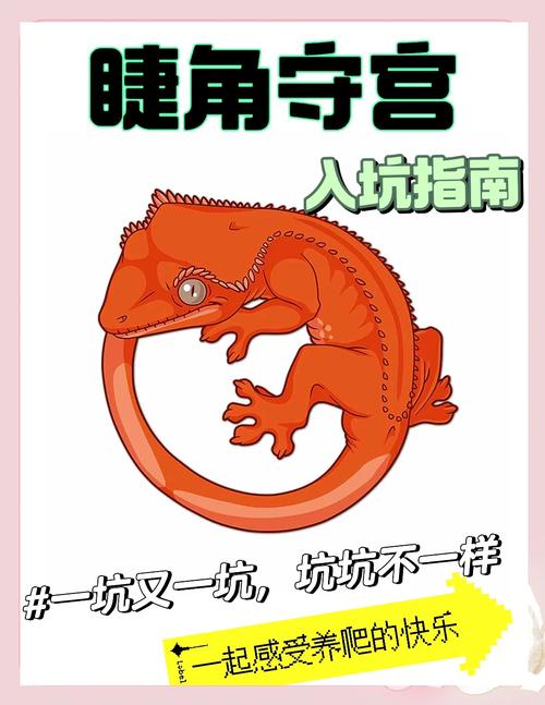 果泥昆虫均衡营养(睫角守宫饲养喂食方法) 果泥昆虫均衡营养(睫角守宫饲养喂食方法)