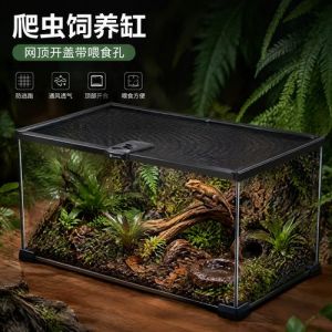 角蛙树蛙混养难？风险高需谨慎！（角蛙和树蛙可以一起养吗）