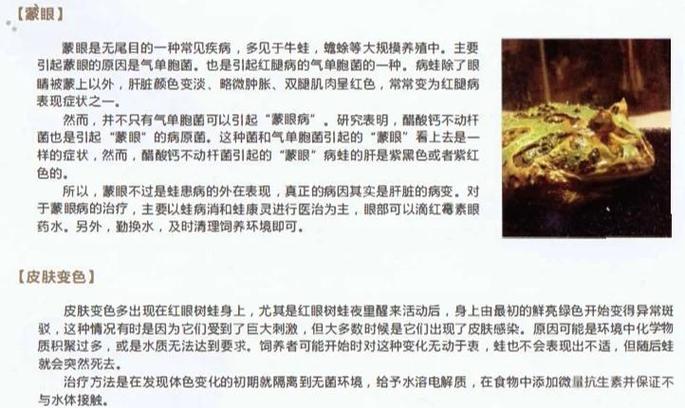 控温保湿防骤降,活食红虫造两栖家(角蛙会被冻死吗) 控温保湿防骤降,活食红虫造两栖家(角蛙会被冻死吗)