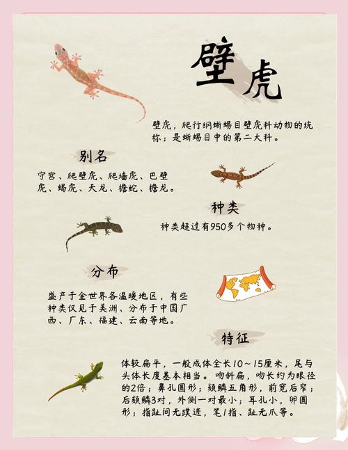 机智热情,事业爱情皆顺利(蜥蜴代表什么生肖) 机智热情,事业爱情皆顺利(蜥蜴代表什么生肖)