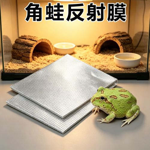 角蛙冬眠不彻底,环境威胁下或需调整策略(角蛙怎么过冬) 角蛙冬眠不彻底,环境威胁下或需调整策略(角蛙怎么过冬)