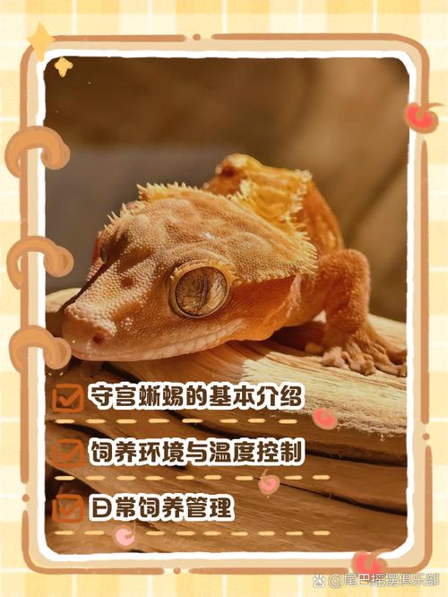 生存本领大(蜥蜴的七大功能) 生存本领大(蜥蜴的七大功能)