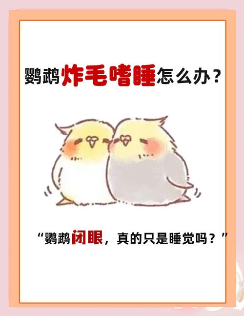 牡丹鹦鹉精神差闭眼炸毛怎么办?(鹦鹉没精神老闭眼还炸毛) 牡丹鹦鹉精神差闭眼炸毛怎么办?(鹦鹉没精神老闭眼还炸毛)