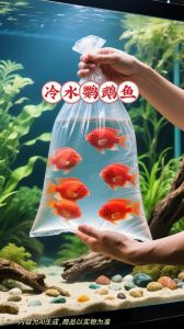 养鹦鹉鱼注意七件事，健康活泼！（养鹦鹉鱼最忌讳7件事）