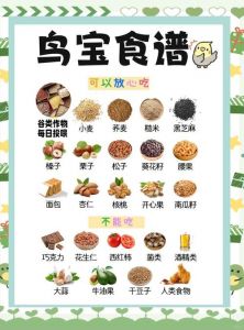 喂鹦鹉10样好食物，别只吃种子！（鹦鹉最爱吃的10种食物）