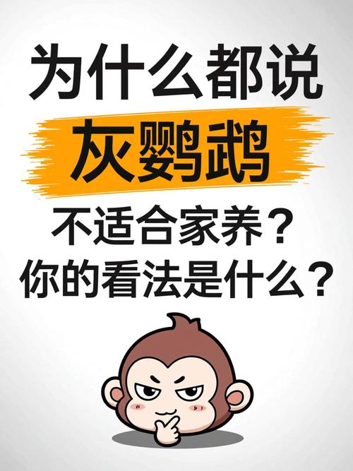 需考虑噪音清洁健康情感负担(灰鹦鹉为什么不建议养) 需考虑噪音清洁健康情感负担(灰鹦鹉为什么不建议养)