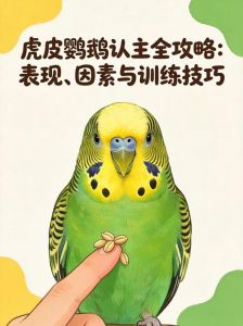 鹦鹉爱理毛粘人？它对你真好！（如何判断鹦鹉已经认主人了）