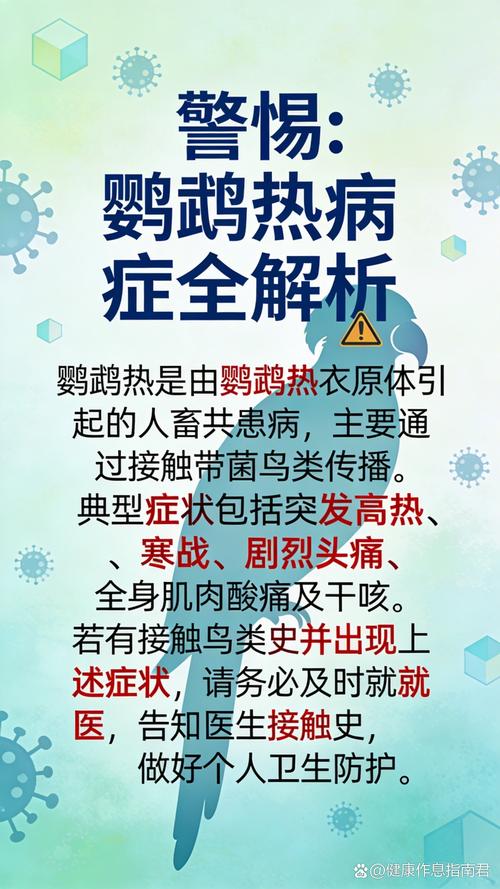 养鹦鹉小心鹦鹉热,注意卫生防感冒!(家养鹦鹉容易得鹦鹉热) 养鹦鹉小心鹦鹉热,注意卫生防感冒!(家养鹦鹉容易得鹦鹉热)