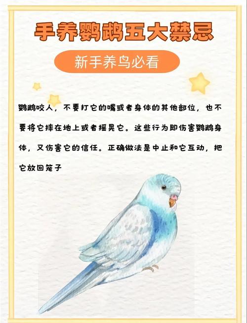 看似可爱实则凶猛?饲养挑战多(为什么不建议养小太阳鹦鹉的原因) 看似可爱实则凶猛?饲养挑战多(为什么不建议养小太阳鹦鹉的原因)
