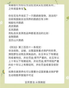 养鹦鹉好处多坏处多，是否适合你？（养鹦鹉的利与弊看完你还敢养吗）