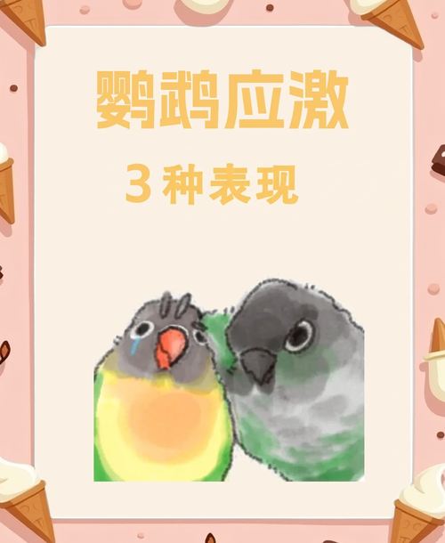 惊吓会致命!小心吓到你的鹦鹉(鹦鹉应激反应几天会死亡) 惊吓会致命!小心吓到你的鹦鹉(鹦鹉应激反应几天会死亡)