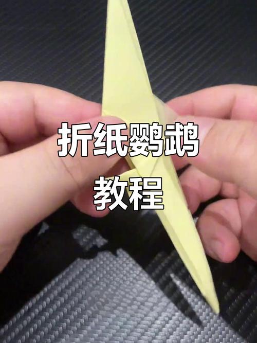 手把手教你折鹦鹉（鹦鹉手工折纸步骤图片）