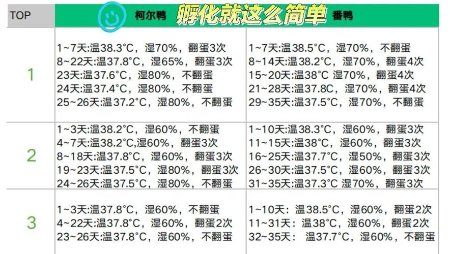精准控温湿度，科学孵化鹦鹉蛋（鹦鹉蛋孵化器怎么孵化的温度和湿度）