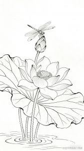 线条勾勒自然之美（白描工笔花鸟画图片大全）