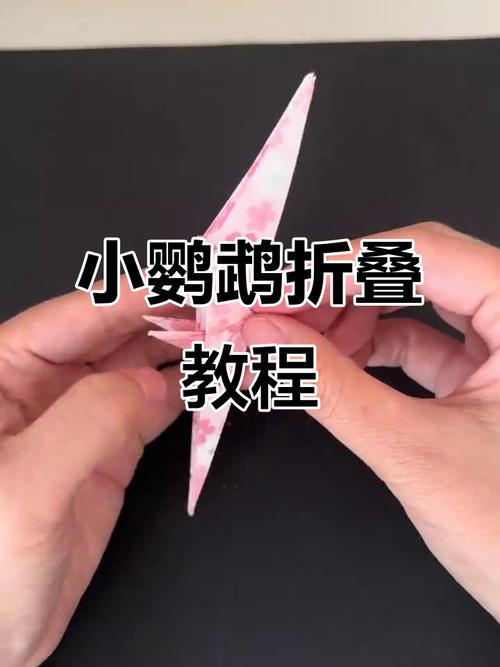 手把手教你折鹦鹉（鹦鹉手工折纸步骤图片）