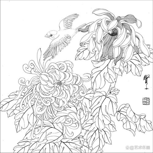 线条勾勒自然之美（白描工笔花鸟画图片大全）