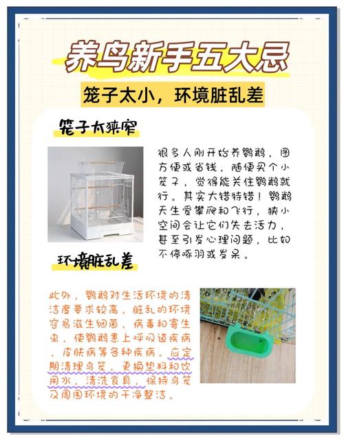 六条财运好，鱼缸有讲究（血鹦鹉为什么不建议养）