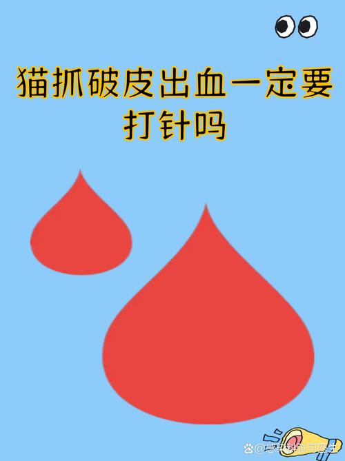 鹦鹉抓伤出血怎么办?(被鹦鹉爪子划伤要打针) 鹦鹉抓伤出血怎么办?(被鹦鹉爪子划伤要打针)