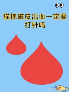 鹦鹉抓伤出血怎么办？（被鹦鹉爪子划伤要打针）